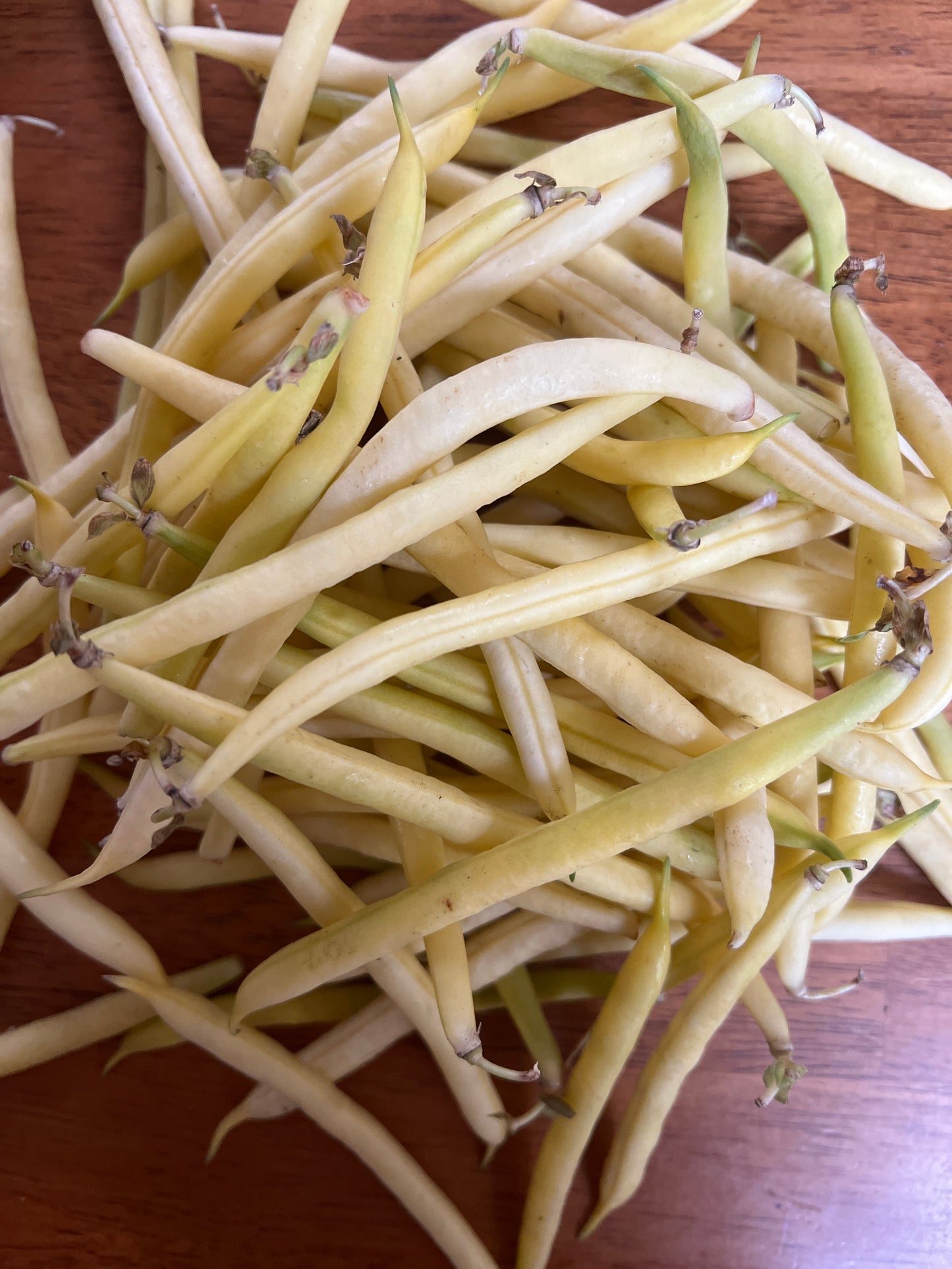 Beans, Yellow - Conventional - BC