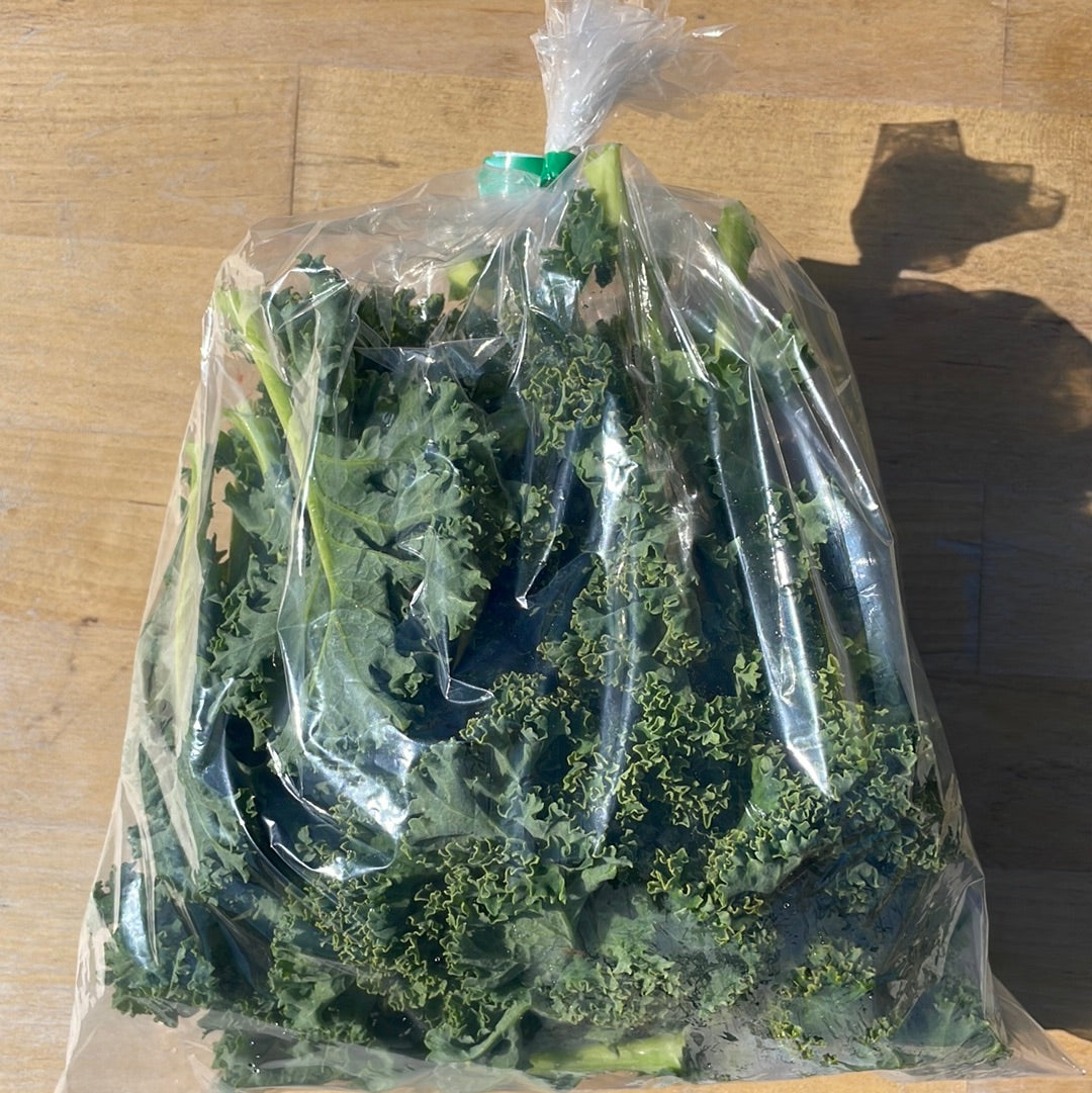 Kale, Curly - Certified Organic (0.5lb) - BC