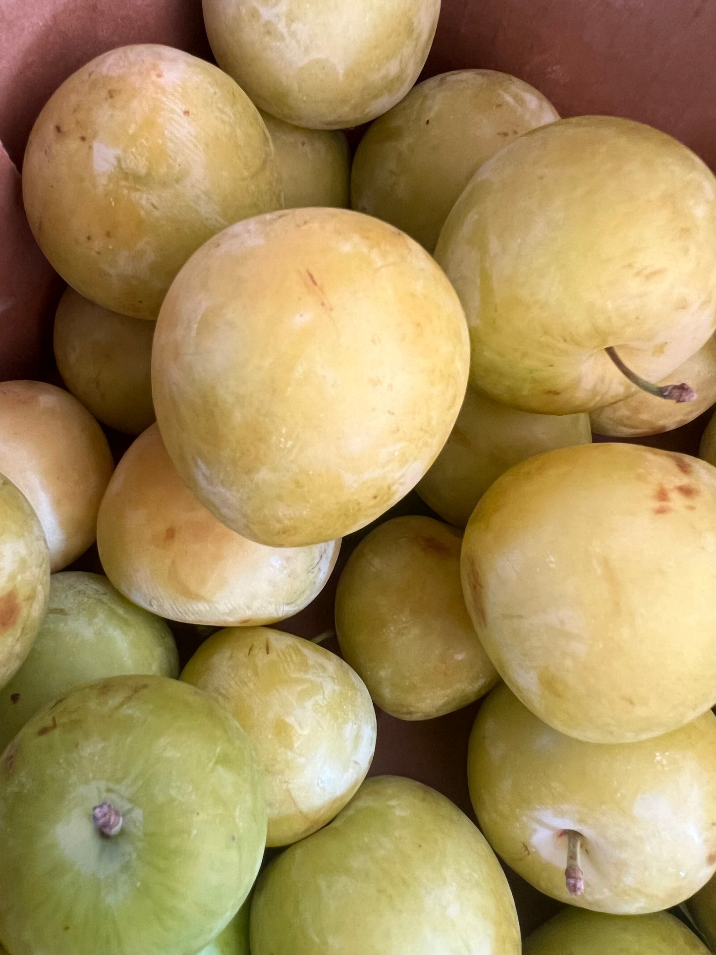 Plums, Yellow - No Spray - BC