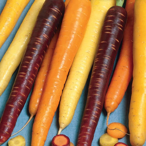 Carrots, Rainbow (2lbs) - Certified Organic - BC