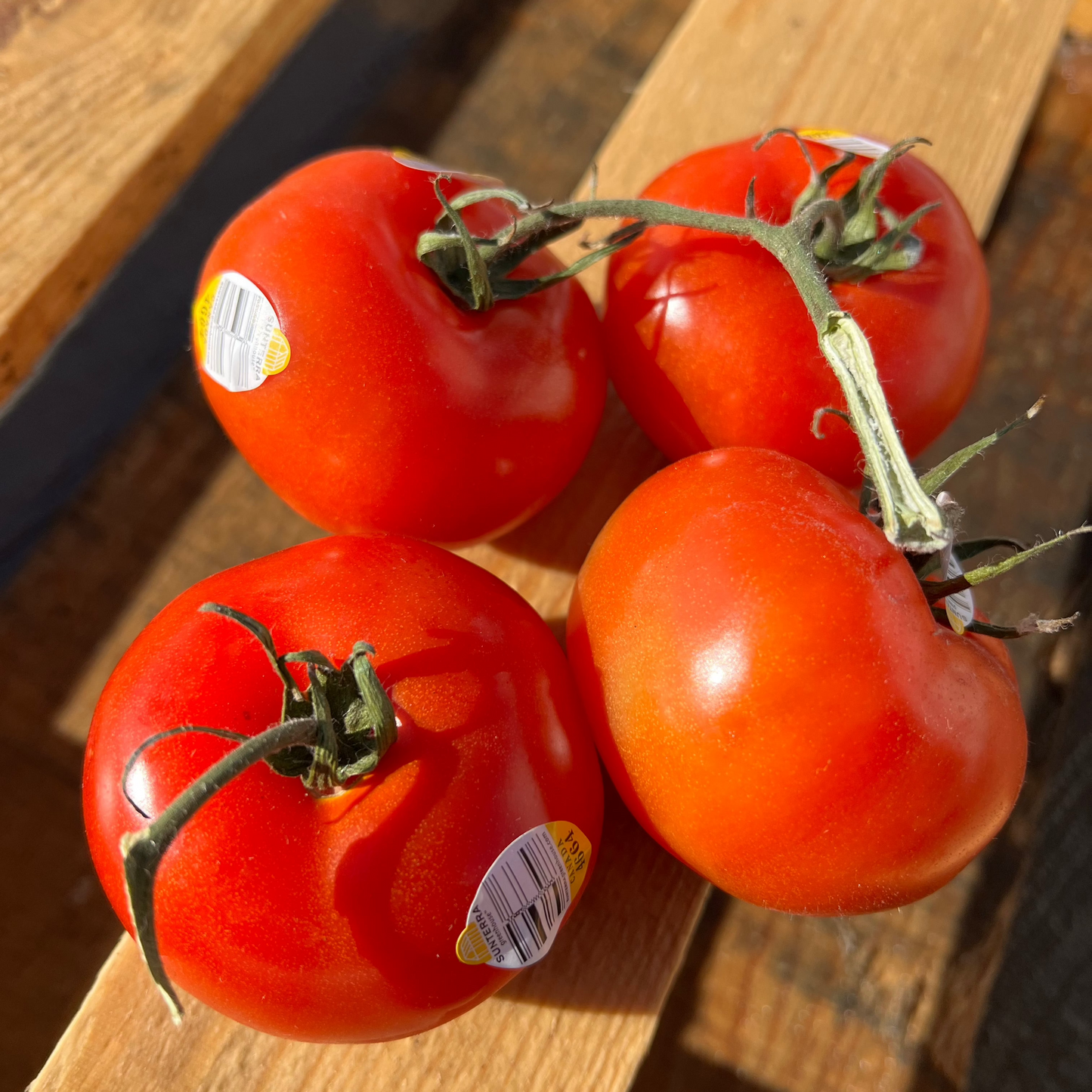 Tomatoes still on the vine on a wooden crate