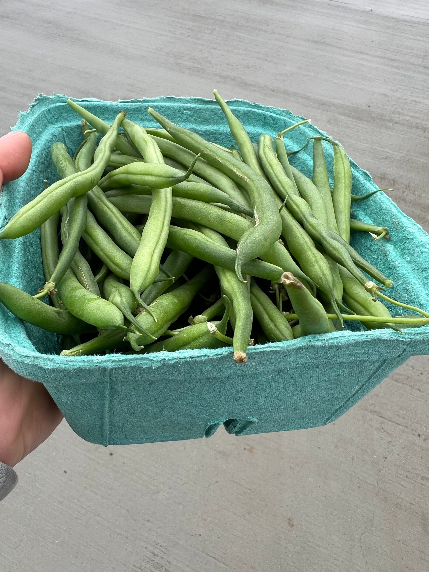 Beans, Green - Conventional, 1.5lbs - BC