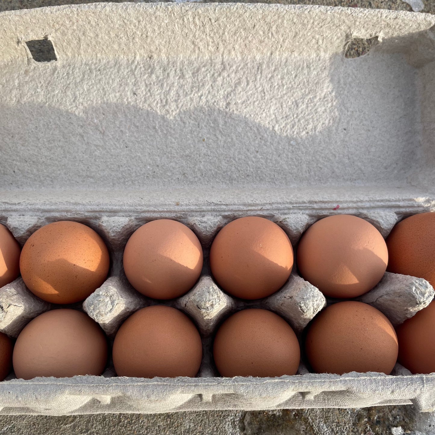 Eggs, Medium - Free-range - BC