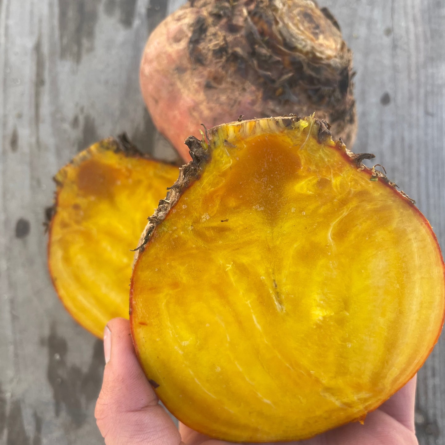 Beets, Golden - Conventional (2lbs bag) - BC