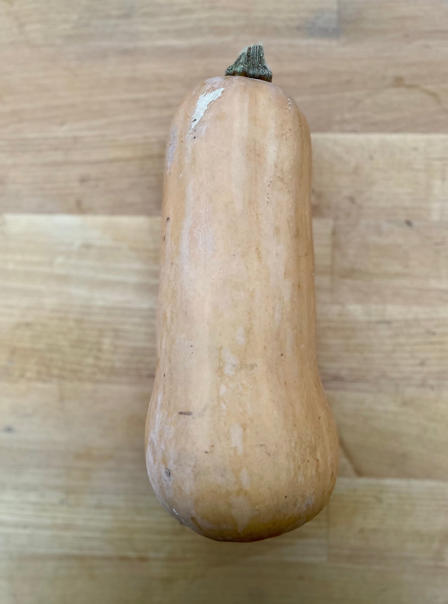 Squash, Butternut (1.5-2Lbs) - Certified Organic - BC