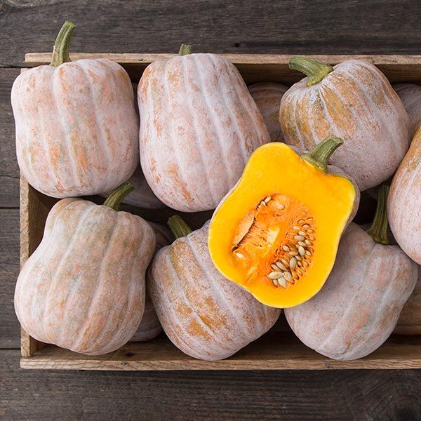 Squash, Autumn Frost - Certified Organic, BC