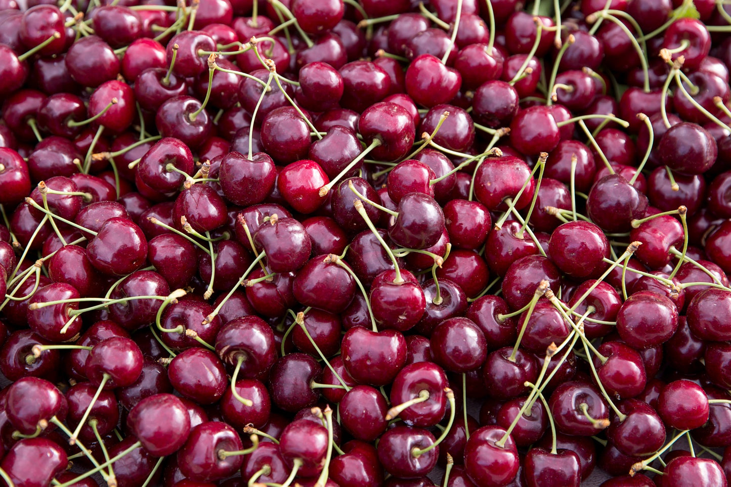 Cherries - Conventional - BC