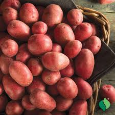 Potatoes, Red - Certified Organic - BC