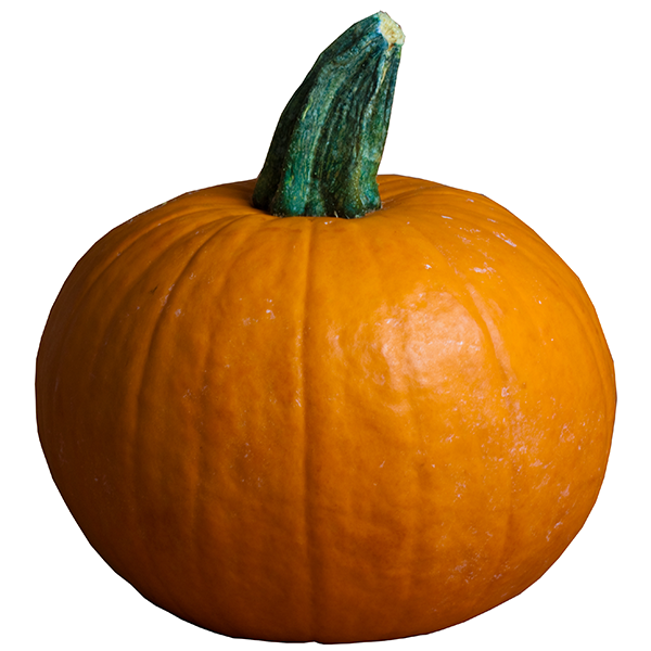 Squash, Pie Pumpkin (2-3lbs) - naturally grown - BC