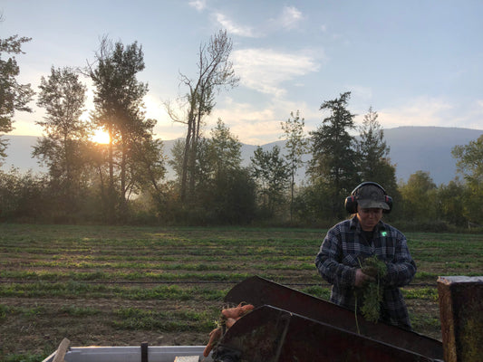 Eat Local – It’s Good For You!
