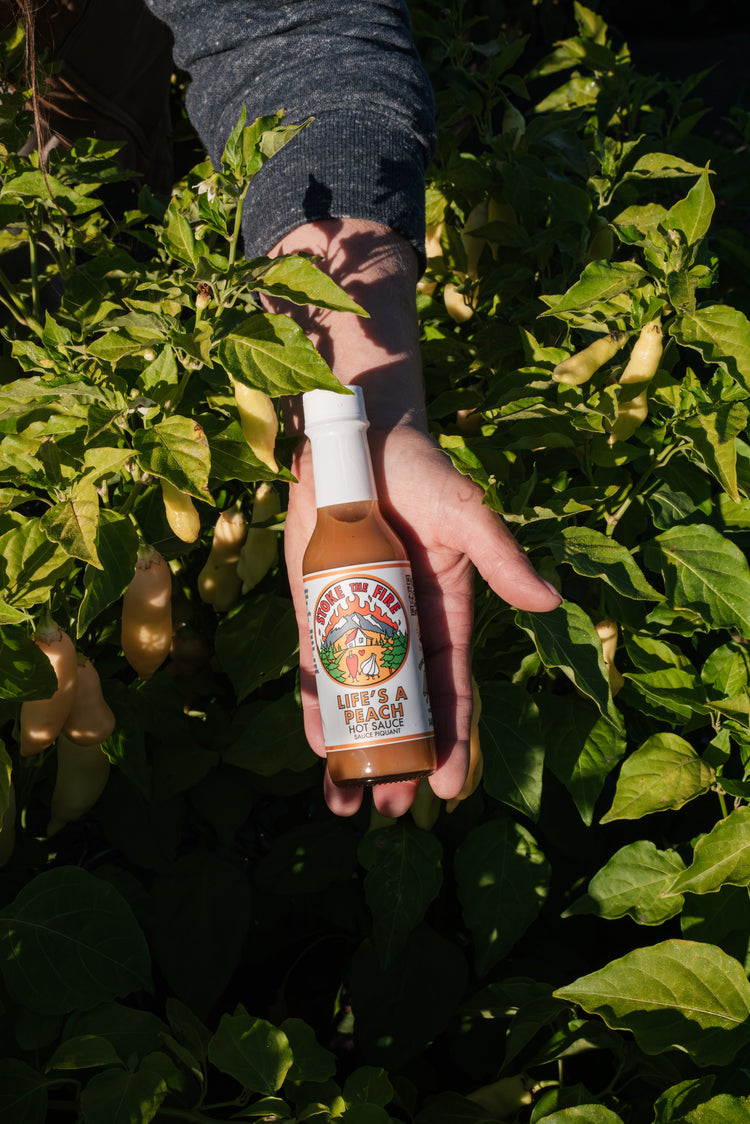 Sauces, chutneys, spreads, and syrups