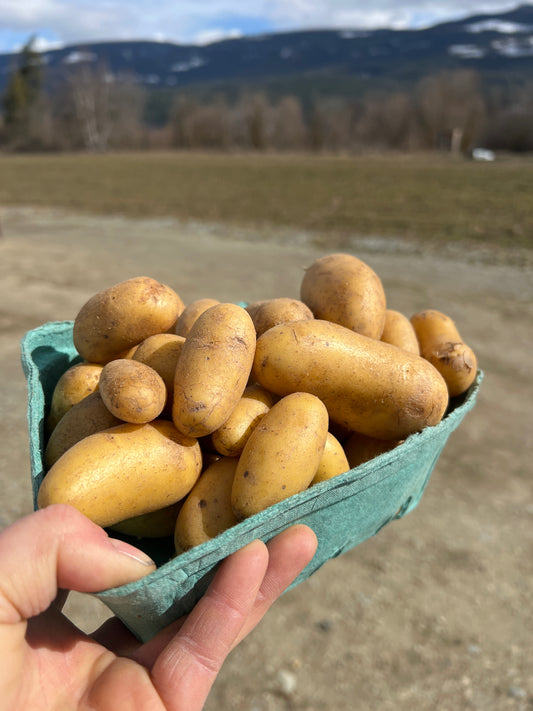 Potatoes, Fingerling - Certified Organic - BC