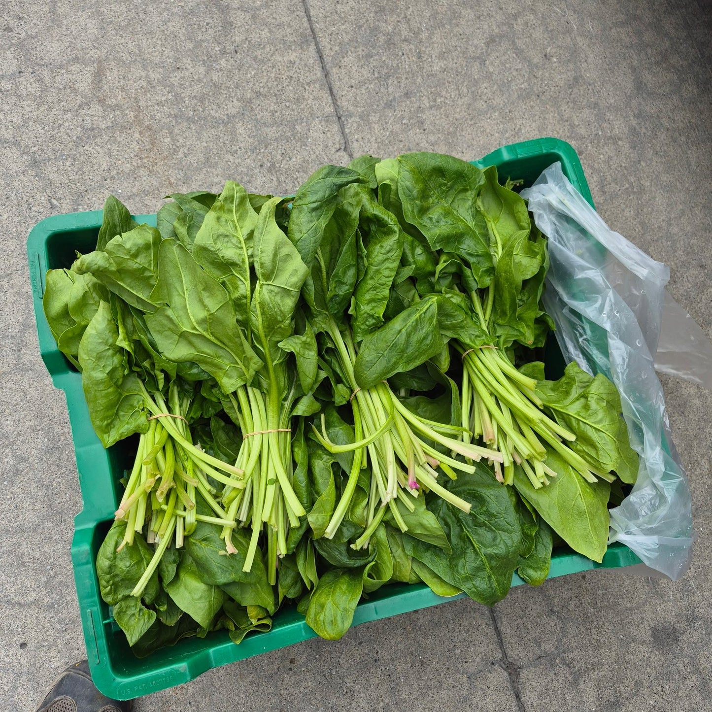 Spinach (bunch) - Certified Organic, BC