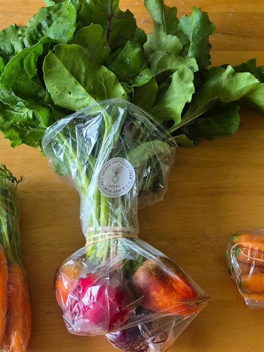 Beet, Rainbow Bunch - Certified Organic - BC