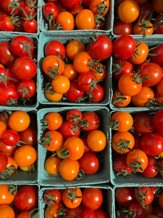 Tomato, Cherry Mixed Colours - Certified Organic