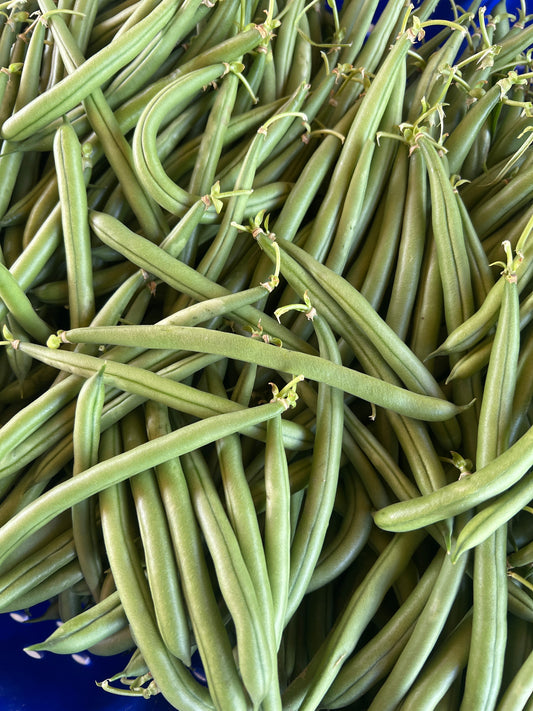 Green Beans - Certified Organic (1lbs) -BC