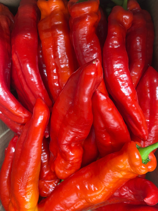 Peppers, Sweet Tooth Red (3 peppers) - Conventional Hot House - BC