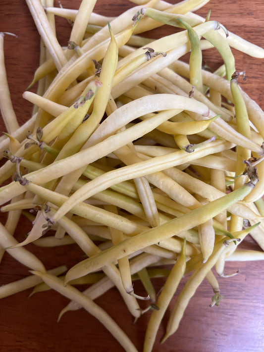 Beans, Yellow - Conventional - BC