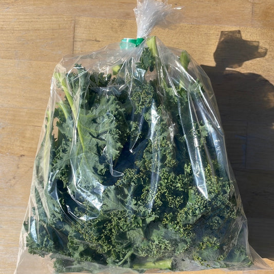 Kale, Curly - Certified Organic (0.5lb) - BC