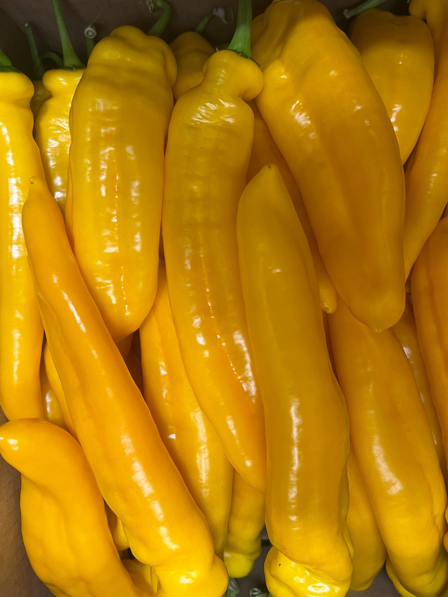Peppers, Sweet Tooth Yellow (3 peppers) - Conventional Hot House - BC