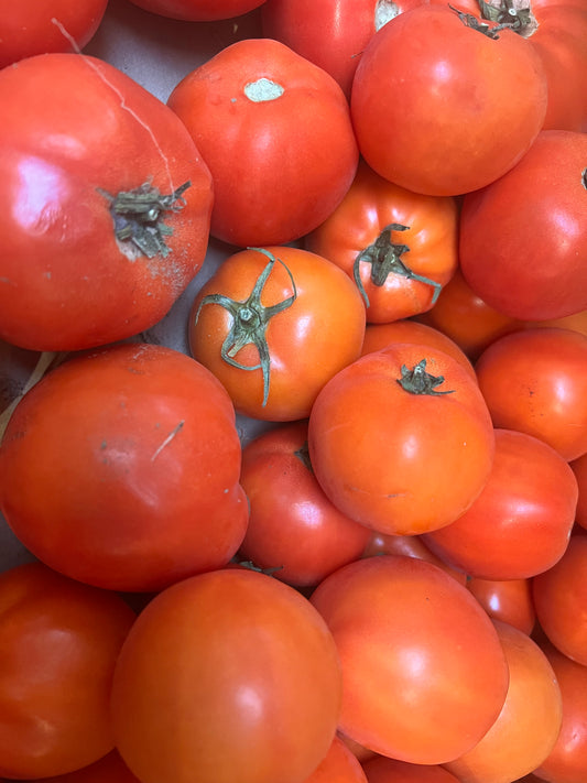 A crate of large red canning tomatoes