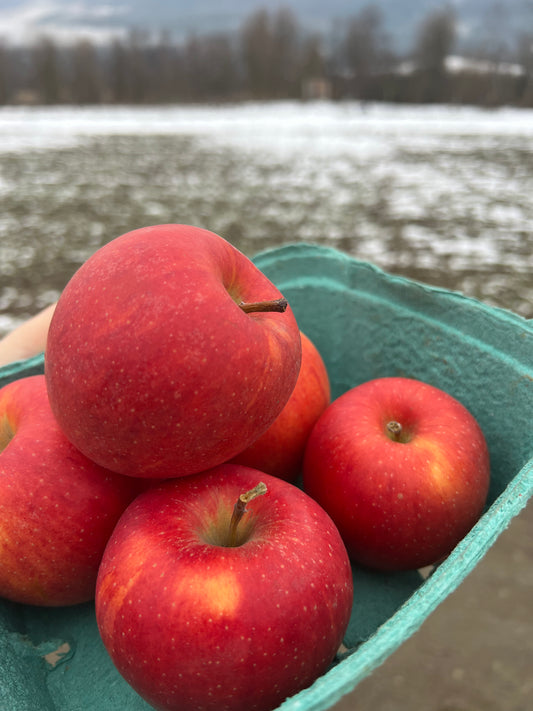 Apples, Gala - Certified Organic