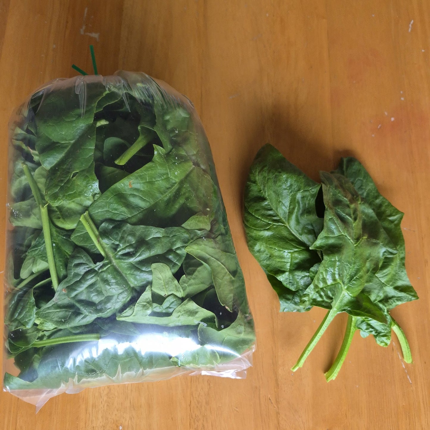 Spinach (0.5lbs bag) - Certified Organic - BC