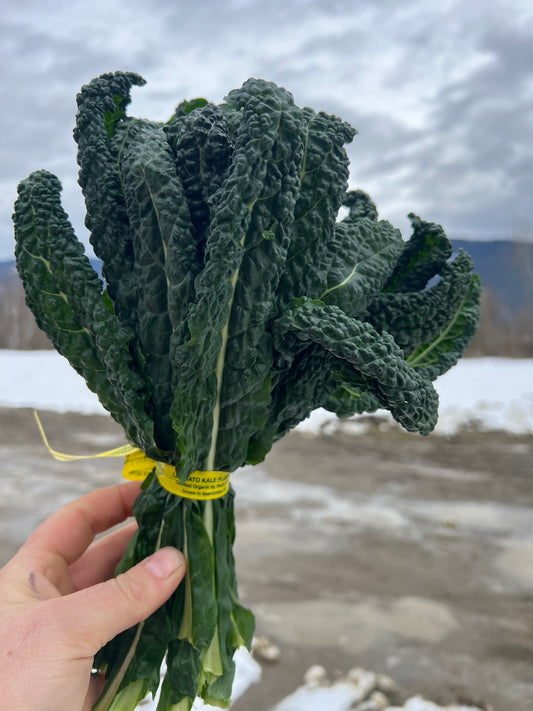 Kale, Black/Lacinato, Certified Organic - BC