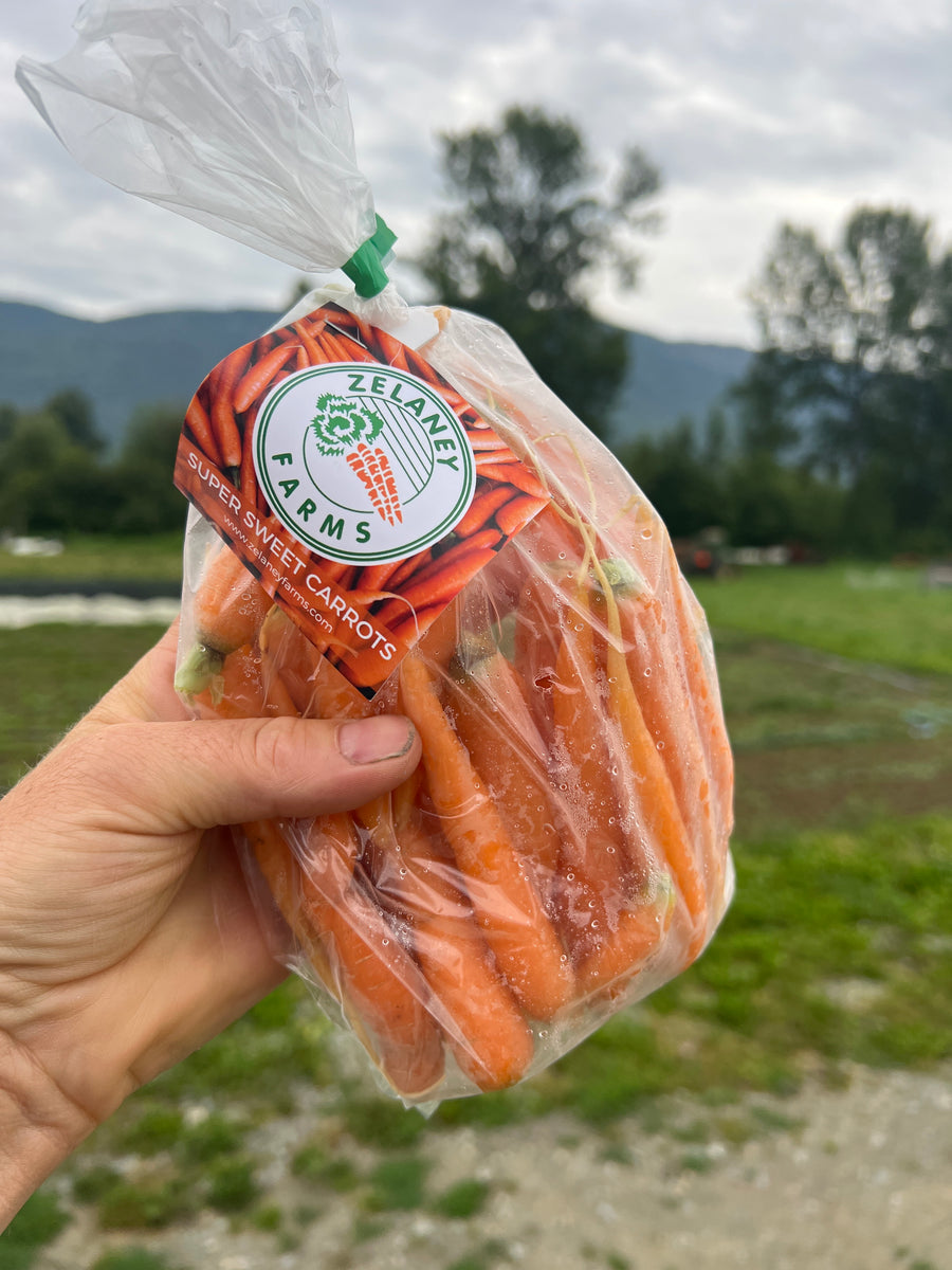 A bagged bunch of small sweet carrots held up in a field