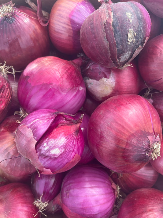 zz - IMPERFECT Onions, Red - Certified Organic - BC