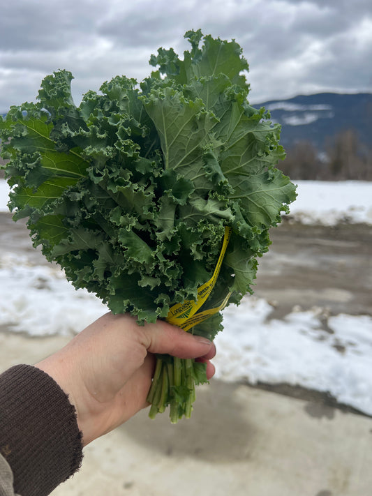 Kale, Green/Curly - Certified Organic - BC