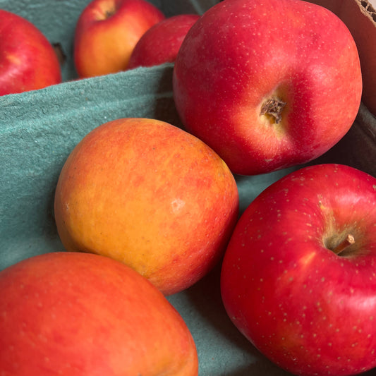 Apples, Honeycrisp - Certified Organic