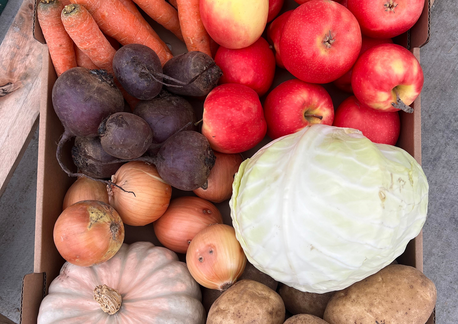 Box of fresh produce including apples, carrots, beets, onions, a cabbage, and potatoes.