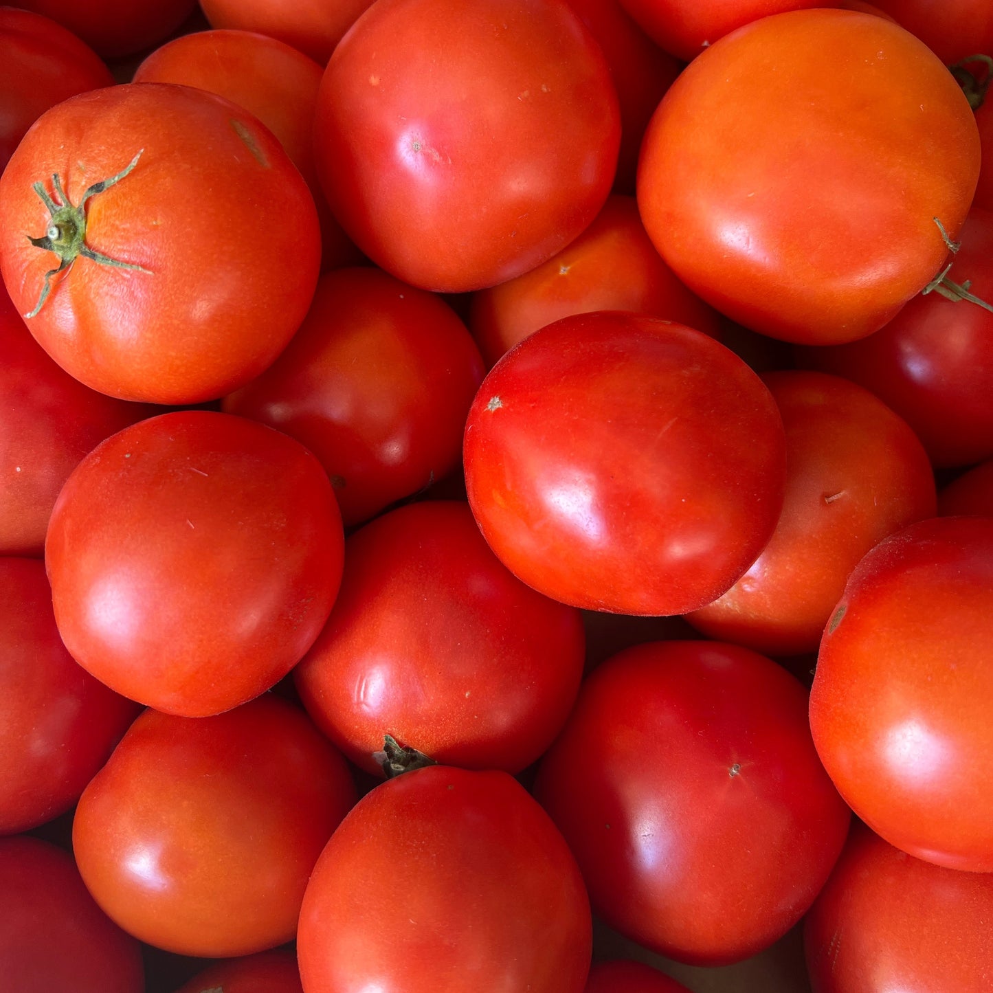 Tomatoes, Slicer (2lbs) - Conventional - BC