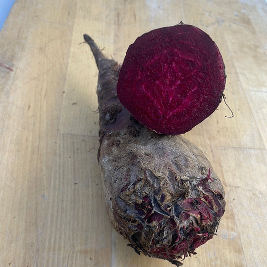 A long cylindra beet beside a round beet cut open to show deep purple flesh