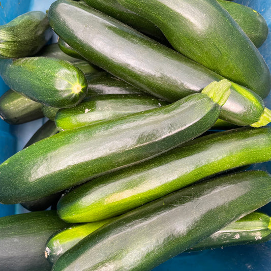 Zucchini - Conventional - BC