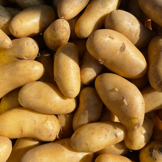 Potatoes, Irish Queens (Yellow) - Certified Organic