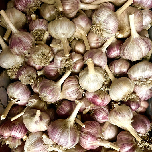 Garlic - Certified Organic