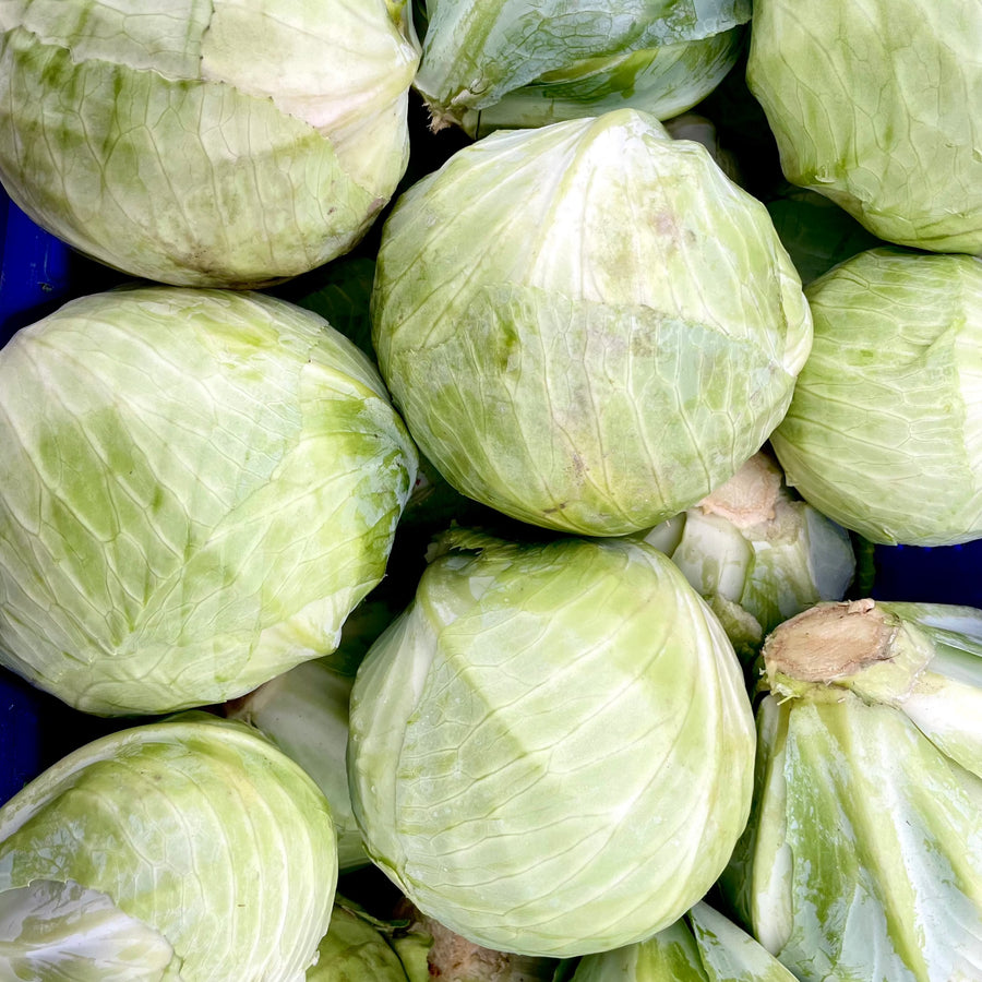 A pile of pale green cabbage heads