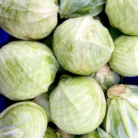 Cabbage, Green - Certified Organic (1.5lbs)- BC