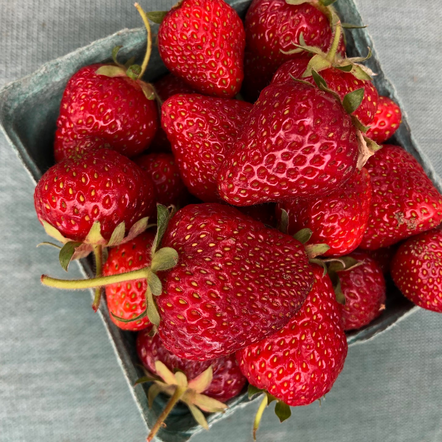 BERRIES - Strawberries (Pints) No Spray - Armstrong, BC
