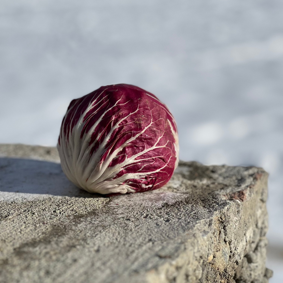 A red radicchio head on a concrete ledge