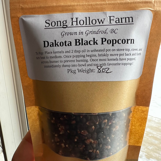 Popcorn, Dakota Black - Transition to Organic - BC