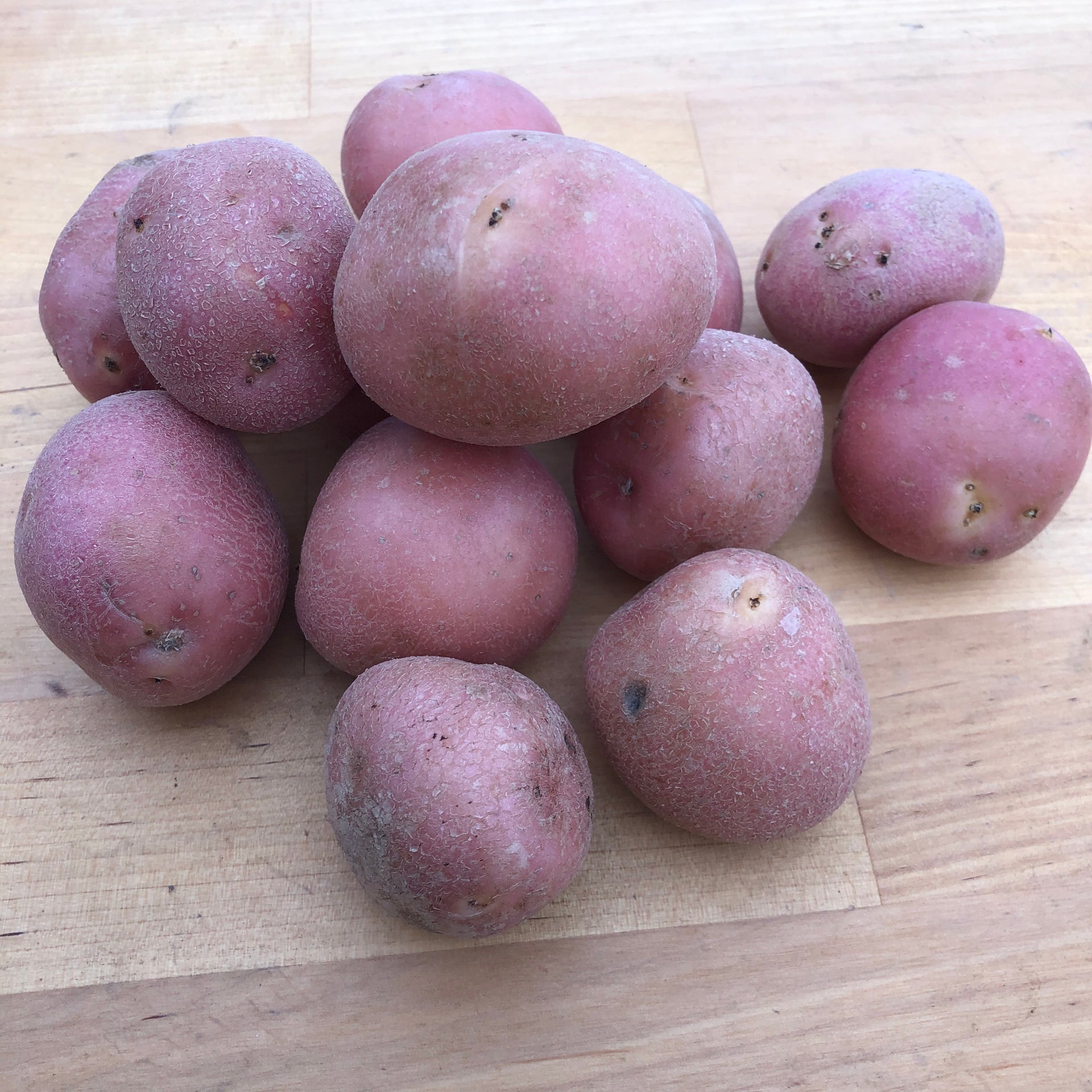 Potatoes, Small Red - Certified Organic