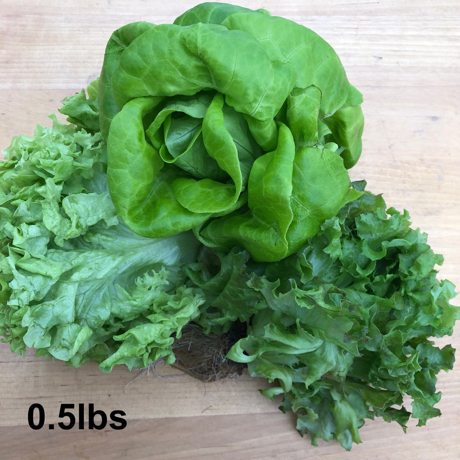 Butterhead and green leaf lettuce heads on a wooden board, labelled 0.5lbs