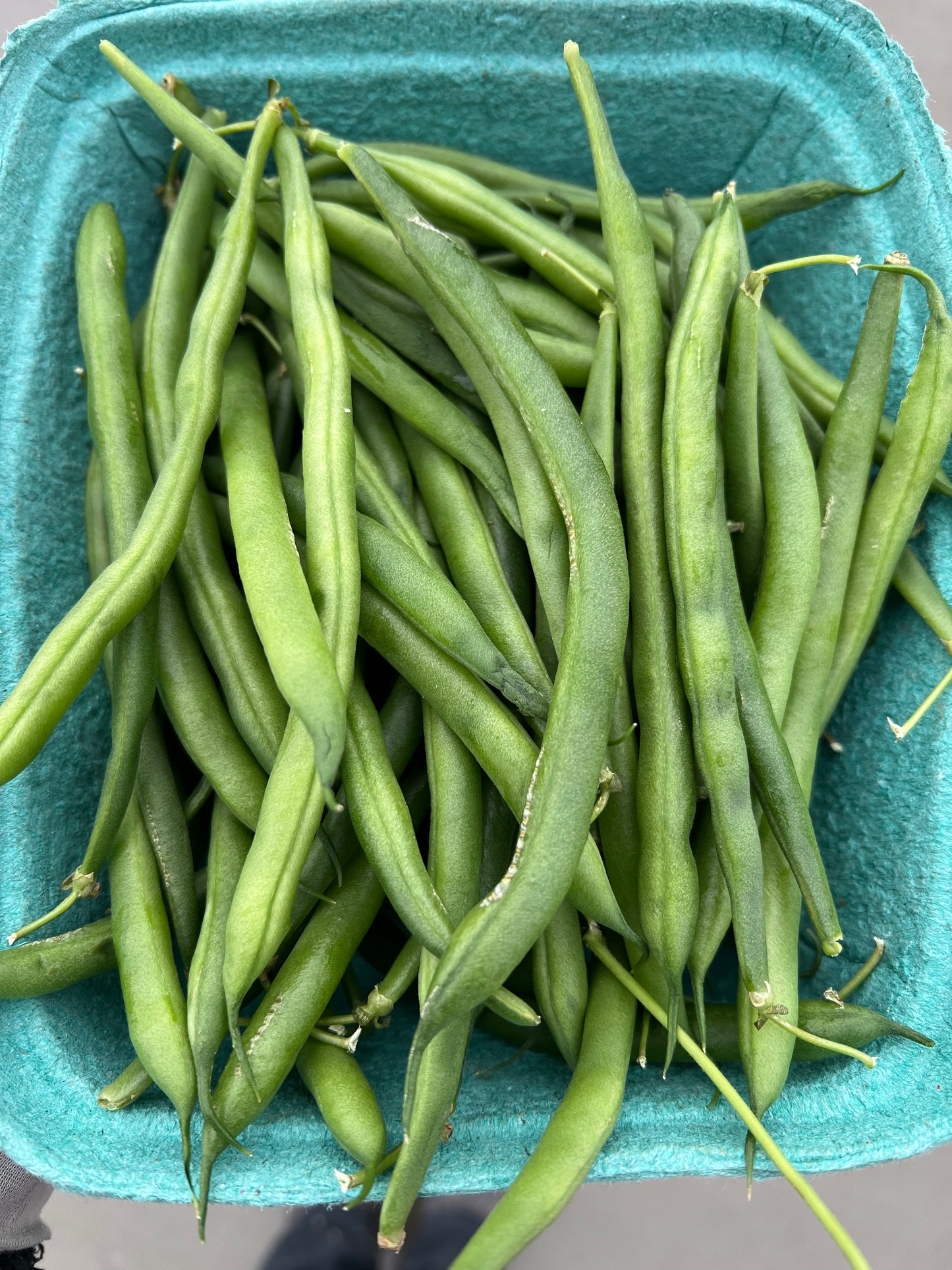 Beans, Green - Conventional, 1.5lbs - MEX