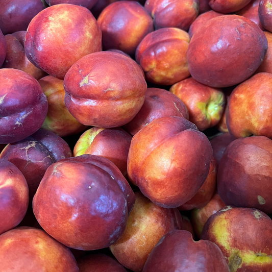 Nectarine - Certified Organic - BC