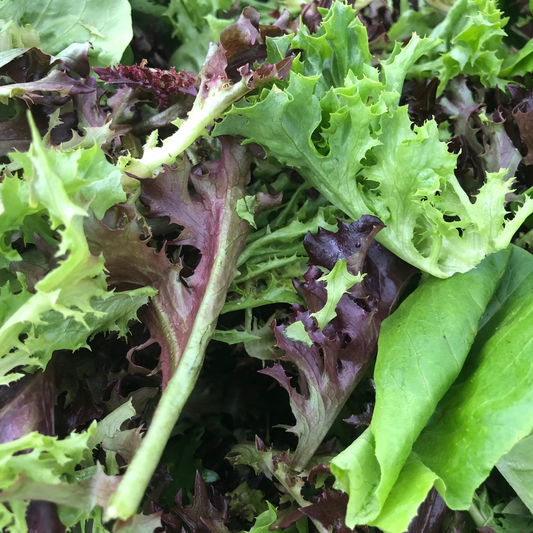 Garden Starter Pack - Herbs & Greens