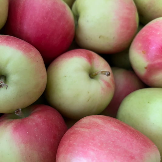 Apples, Sunrise - Certified Organic - BC