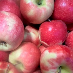 Apples, Pink Lady - Certified Organic - BC